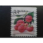 США 1999 стандарт, малина