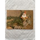 Открытка с Новым годом.