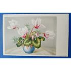 Открытка старинная. Цветы.