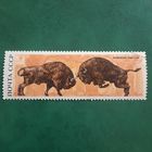 СССР 1968. Беловежская пуща. Зубр. Марка из серии