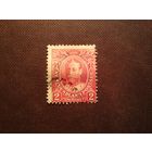 Британский Ньюфаундленд  1911 г.Король Георг V. /24а/