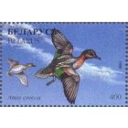 Беларусь 1996 фауна утки