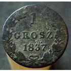 1 грош 1837 MW