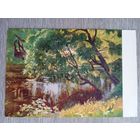 1954. Мясникова. Ивы над прудом