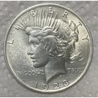 Монета 1 доллар 1923 год. США Мирный доллар