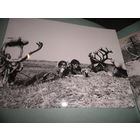 Большой альбом с фотографиями 23х17 см.с видами Калымы,приисков и г.Магадана 1979 г.40 фотографий С рубля.