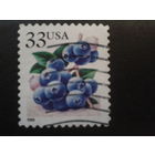 США 1999 стандарт, черника