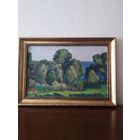 Крохолев П.С. У озера 1969 год