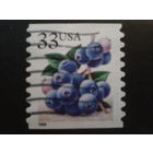 США 1999 стандарт, черника