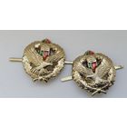 Эмблемы ПВ.