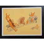 Гуров Колючий сосед 1968 чистая открытка СССР