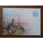 Беларусь 2010 ПК глухари, грибы