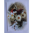 Календарик 2001 г. Мингорсоюзпечать.