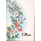 Чистая двойная открытка из сувенирного комплекта 1988г. "1 Мая. Яблоневый цвет" худ. И. Артемова