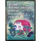 Лесные ягодные растения и орехи на садовом участке.