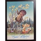 Зарубин С днем 8 марта 1987 чистая открытка СССР