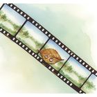 Мядельский р-н. Мядель. Нарочь. Архив фотопленок. Архитектура. 228 кадров.