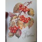 Соколова Поздравляем! Чист.. (1)