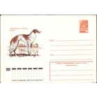 1978 год ХМК Борзая 78-598