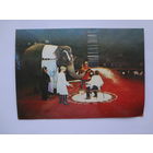 Календарик 1990 г.  10 лет Свердловскому цирку.