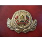 Кокарда. Лесник РБ.