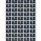 БЕЛАРУСЬ, 1992,   ШИРМА 1м серия лист 50 марок**