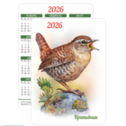 Карманный календарик.  "Крапивник" з.7800-25. 2026 год