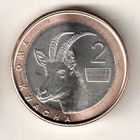 Замбия 2 квача 2024