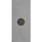 МОНЕТА  ВКЛ 1556.