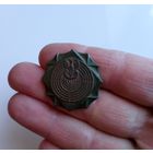 Знак Польша (за отличную стрельбу)