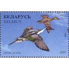 Беларусь 1996 фауна утки
