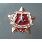 Значок Воин-спортсмен 1 степени.