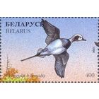 Беларусь 1996 фауна утки