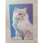 Календарик 1990