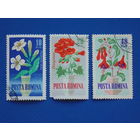 Румыния 1964 г. Цветы.