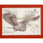 Беларусь. Птица года. Бородатая неясыть ( 1 марка ) 2005 года.