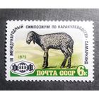 Марка СССР 1975 год Международный симпозиум