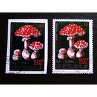 Марки Вьетнам 1991 год Грибы