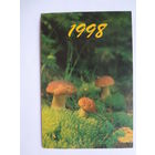 Календарик 1998 г. Боровики.