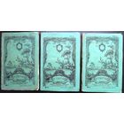 Тютчев Ф.И. Полное собрание сочинений. (3 книги) 1913 г.