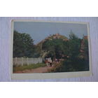 Львов. Гора "Высокий замок"; 1962, чистая.