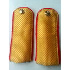 Погоны желто-красные