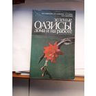 Бибикова Оазисы дома и на работе