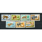 Венгрия - 1981 - Африканская фауна. Кальман Киттенбергер - [Mi. 3470-3476] - полная серия - 7 марок. MNH.  (Лот 74HD)-T4P29