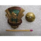 Знак ЦК ВЛКСМ. За освоение новых земель. тяжёлый, винт.