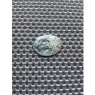 Чешуйка5 с рубля!