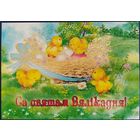 Са святам Вялікадня! Беларусь. 2017 г.