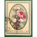 Италия 1966. Гвоздики