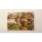 Украина 2002 кв/бл  змеи