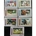 Фауна. Собаки. Венгрия. 1972г. Полная серия.